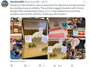 Mrs Fiedens class projects